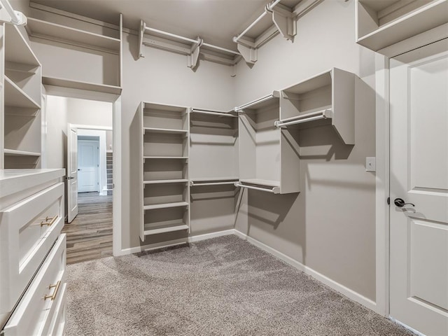 spacious closet featuring carpet