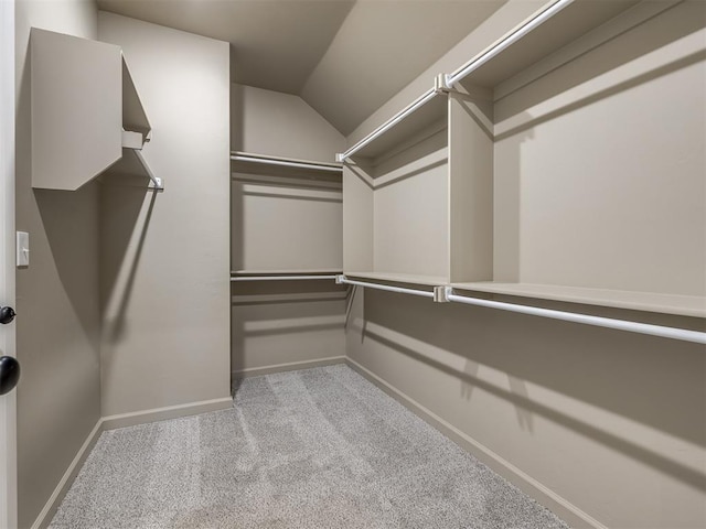 spacious closet with light colored carpet