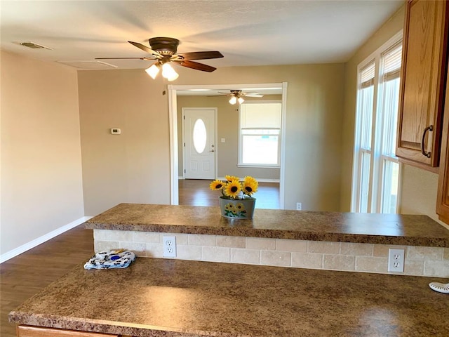 kitchen featuring ceiling fan, dark hardwood / wood-style flooring, and a healthy amount of sunlight