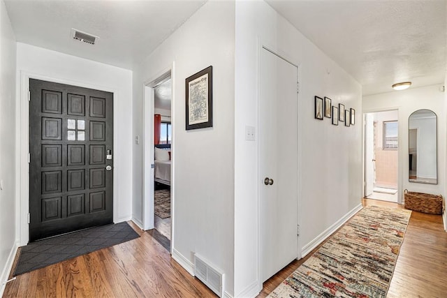 foyer entrance featuring a healthy amount of sunlight and wood-type flooring