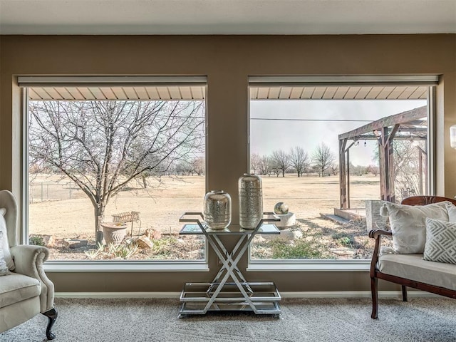 interior details featuring carpet floors and baseboards