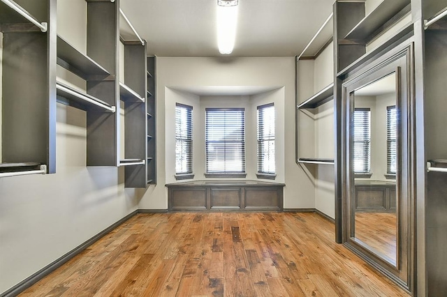 spacious closet featuring light wood-style floors