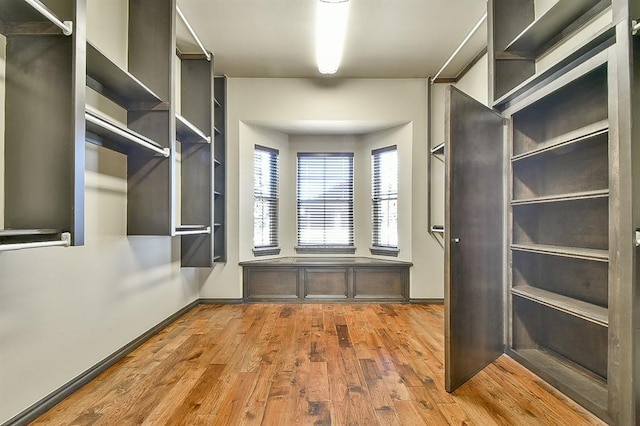 spacious closet featuring wood finished floors