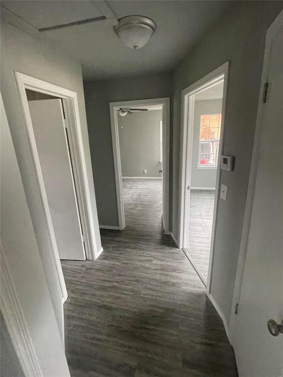 hallway with dark hardwood / wood-style floors