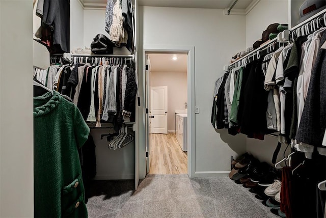 spacious closet featuring wood-type flooring