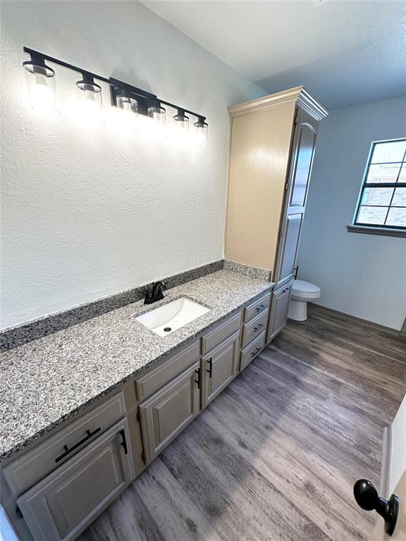 bathroom featuring vanity, hardwood / wood-style flooring, and toilet