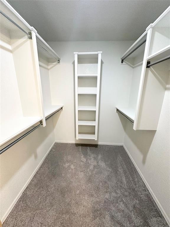 walk in closet featuring dark colored carpet