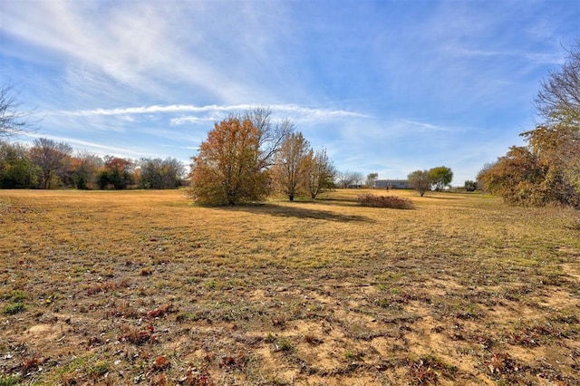 view of yard with a rural view