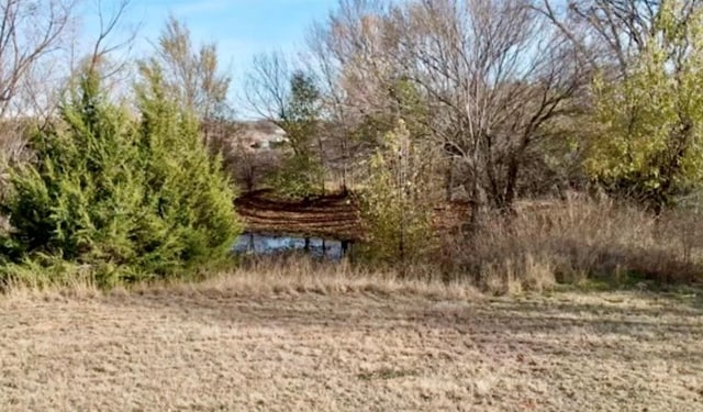 view of landscape