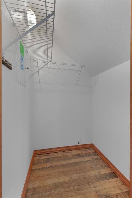 spacious closet featuring wood-type flooring