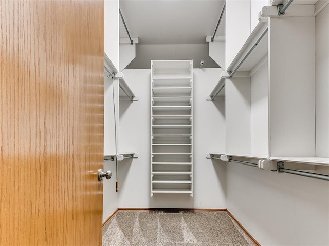 826 S Mustang Rd, Tuttle, OK 73089 - walk in closet with carpet flooring