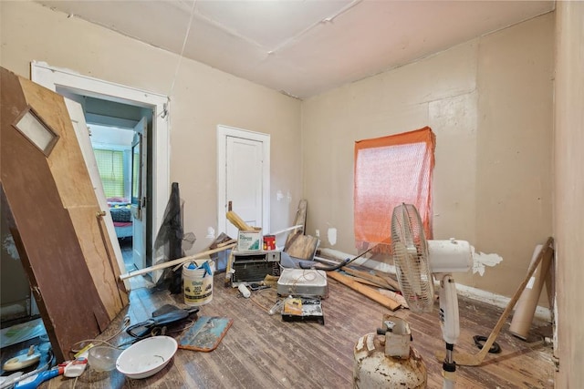 miscellaneous room with wood-type flooring