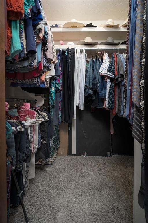 walk in closet with carpet floors