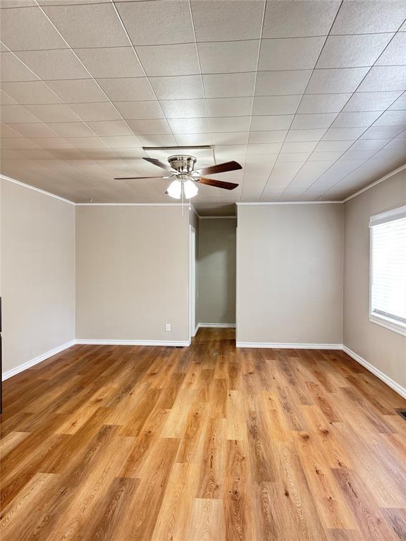 spare room featuring light hardwood / wood-style floors, ceiling fan, and ornamental molding