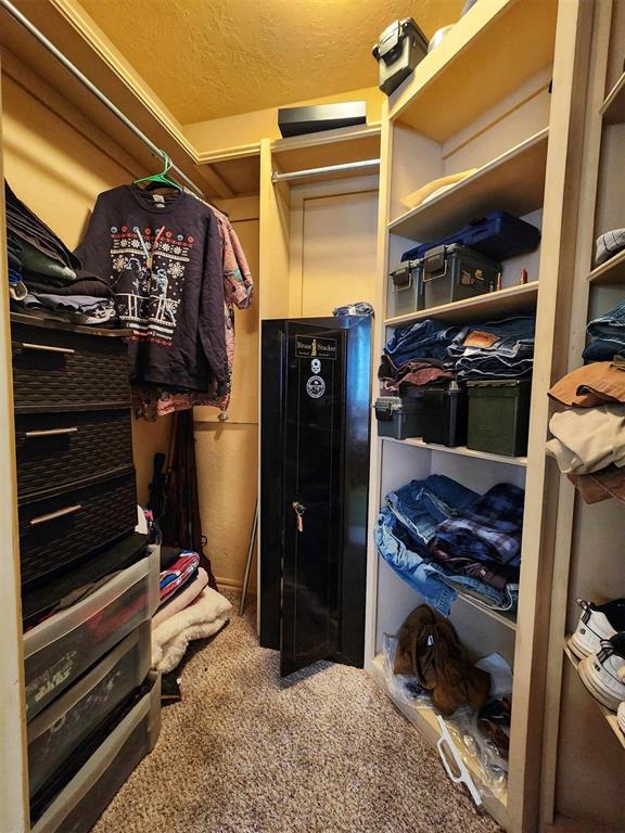 spacious closet with carpet flooring