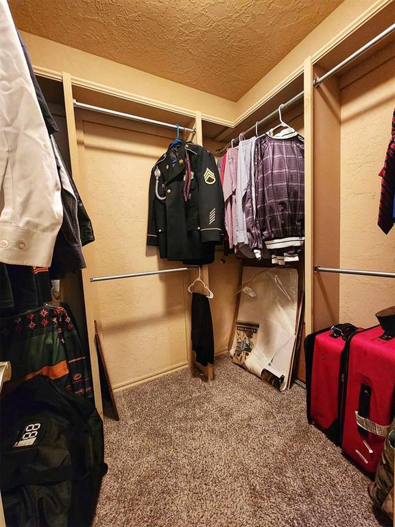 spacious closet with carpet flooring