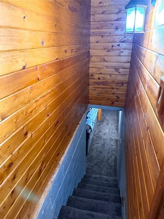 staircase featuring wood walls
