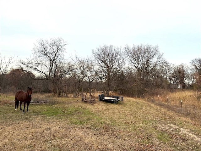 view of yard with a rural view