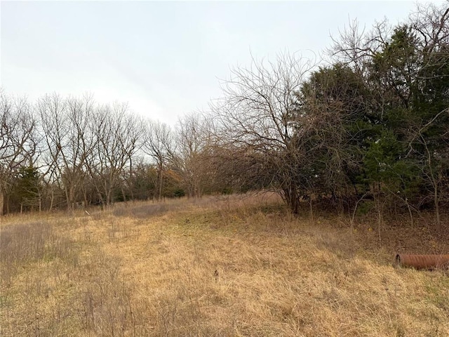 view of local wilderness