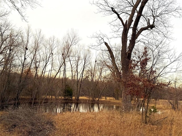 view of water feature