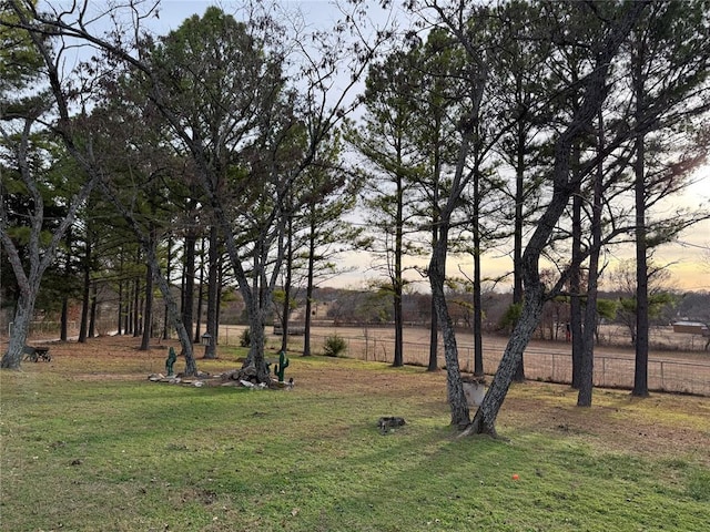 view of yard