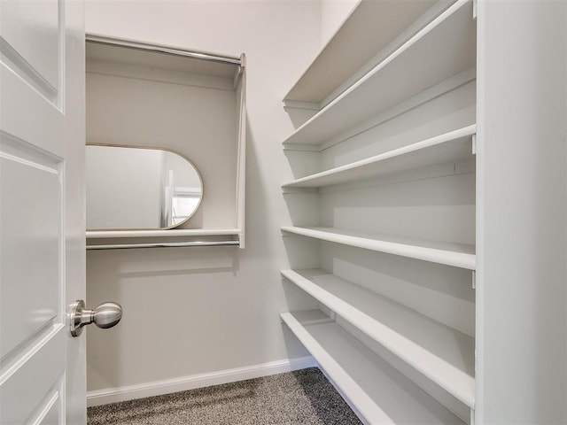 spacious closet with carpet