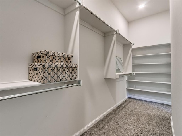 spacious closet featuring carpet floors