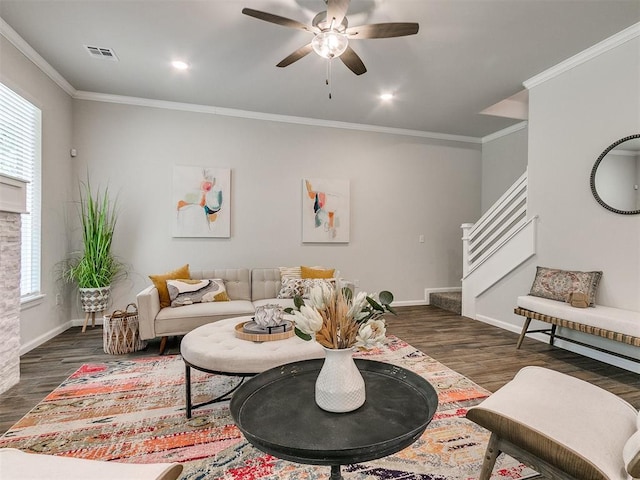 living room featuring crown molding, ceiling fan, and dark hardwood / wood-style floors