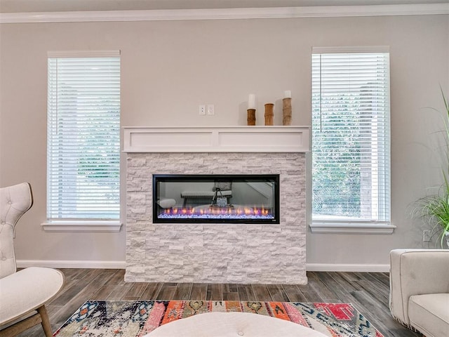 interior space with hardwood / wood-style flooring, a stone fireplace, and a healthy amount of sunlight