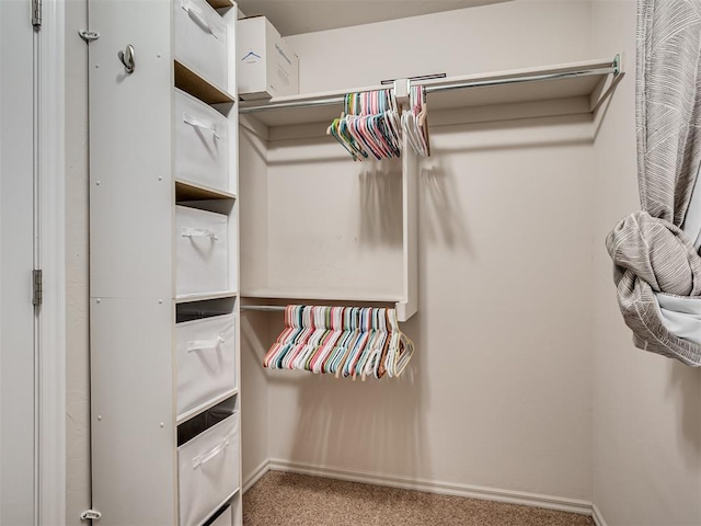 spacious closet with carpet