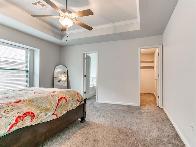 carpeted bedroom featuring a raised ceiling, a spacious closet, ceiling fan, and ornamental molding