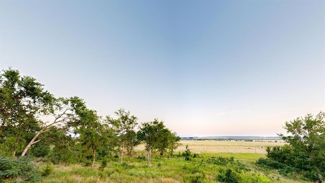 view of landscape featuring a rural view