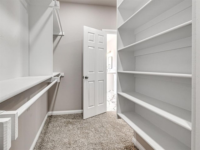 walk in closet featuring carpet flooring