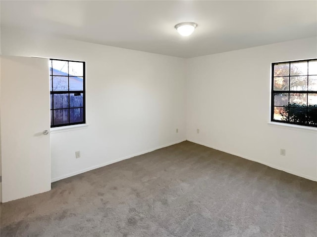 spare room featuring carpet flooring and a healthy amount of sunlight