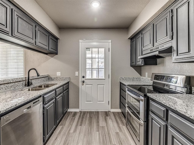 kitchen with a wealth of natural light, sink, light wood-type flooring, and appliances with stainless steel finishes