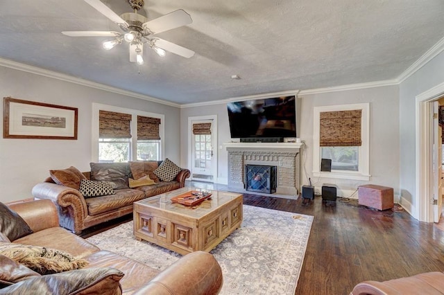 living room with dark hardwood / wood-style floors, ceiling fan, crown molding, and a fireplace