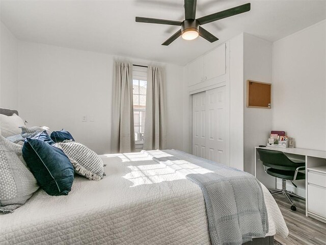 bedroom with a closet, ceiling fan, and light hardwood / wood-style flooring