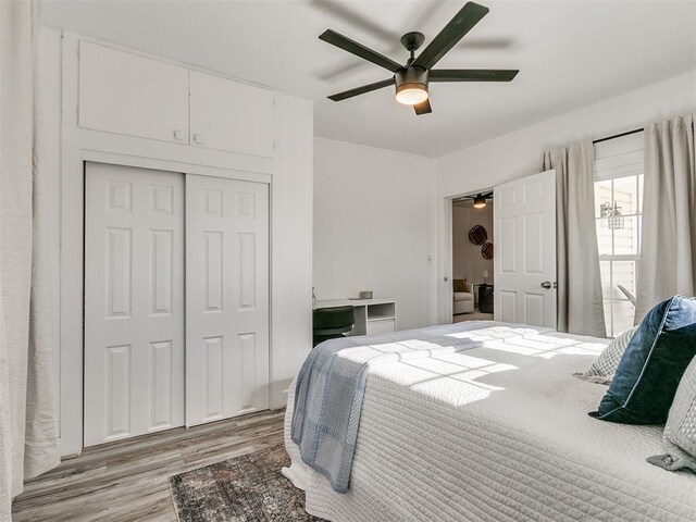 bedroom featuring ceiling fan, a closet, and light hardwood / wood-style flooring