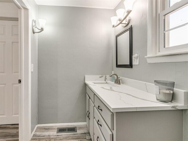 bathroom with vanity and hardwood / wood-style flooring