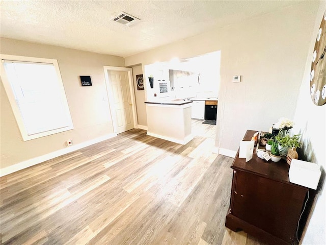 living room with light hardwood / wood-style floors and a textured ceiling