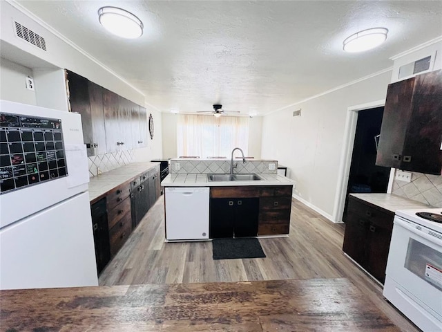 kitchen with white appliances, sink, tasteful backsplash, light hardwood / wood-style floors, and dark brown cabinetry