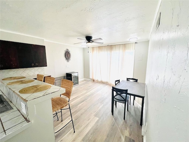 living room featuring ceiling fan and light hardwood / wood-style flooring