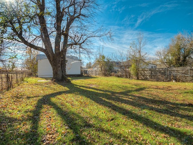 view of yard featuring a shed