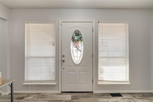 foyer with light hardwood / wood-style flooring and a healthy amount of sunlight