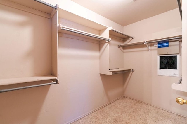 spacious closet featuring light carpet