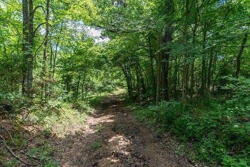 103066 N 3610th Rd, Paden, OK 74860 - photo 47