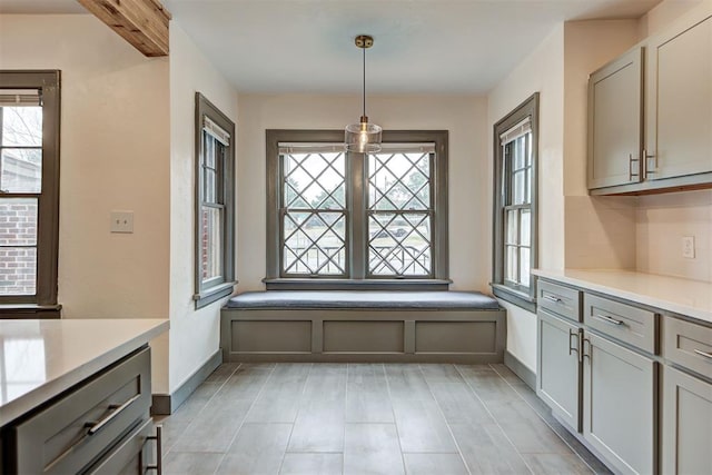 unfurnished dining area featuring a healthy amount of sunlight