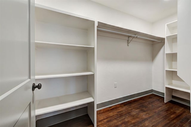 walk in closet featuring dark wood-style floors