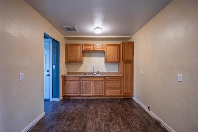 kitchen with dark hardwood / wood-style flooring and sink