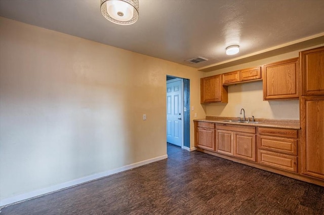 kitchen featuring dark hardwood / wood-style flooring and sink